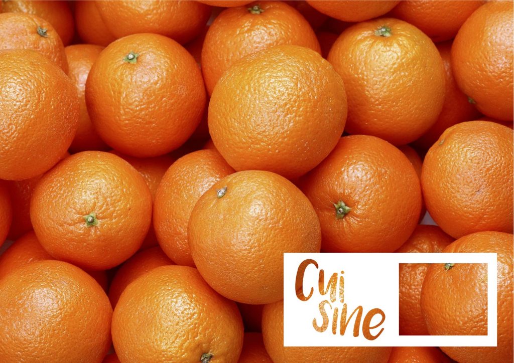 Conceptboek Webdesigner