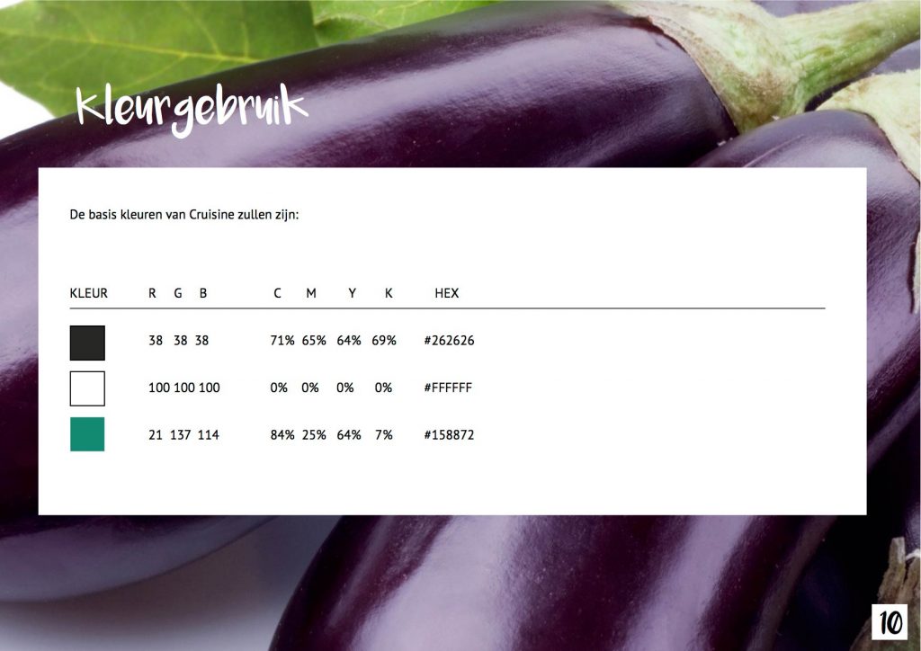 Conceptboek Webdesigner